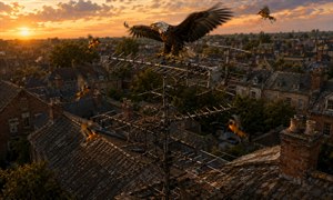 A majestic eagle commands the highest antenna rail, wings spread against a glowing sunset sky. Below, intricate tiers of weathered metal rise above quiet rooftops. Protective orioles streak through the air, dive-bombing the intruder with blurred wings, sharp turns, and fearless energy, defending their carefully hidden nest nearby with determination.