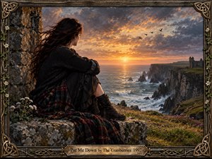 The Cranberries gallery
